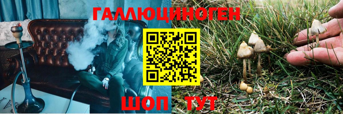 Псилоцибиновые грибы ЛСД  Вход с VPN  купить наркотик  Шебекино 